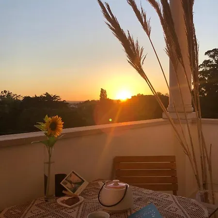 Casa Artelena Guest house