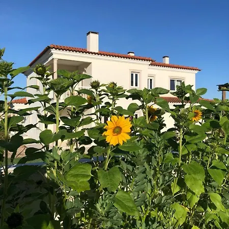 Casa Artelena Guest house