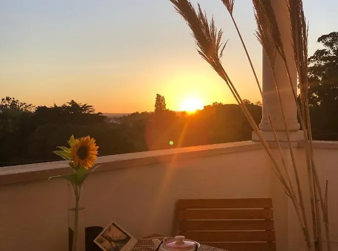 Casa Artelena 招待所